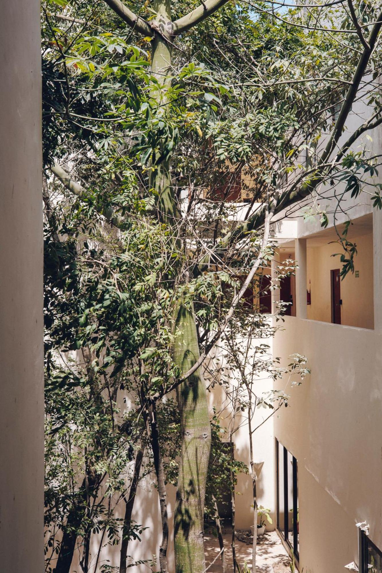 2 Bikes Free Exlusive Building Close To The Sea Tulum Exterior photo